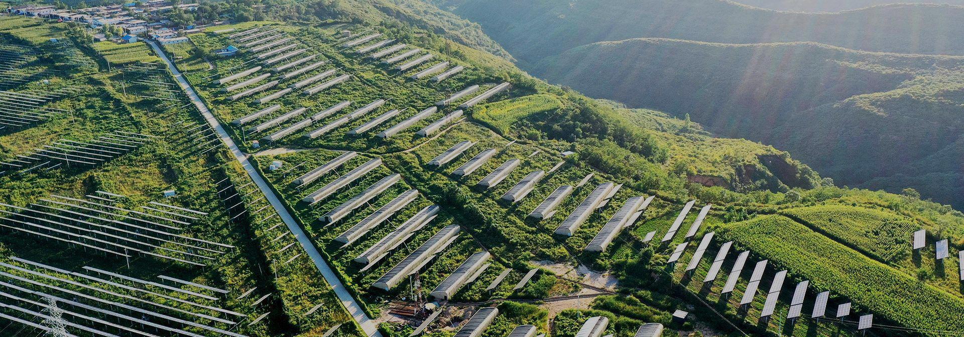 联系三亿在线登录